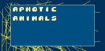 aphotic animals