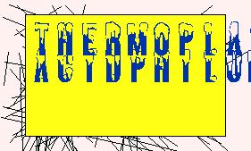 thermoplasma acidphilum